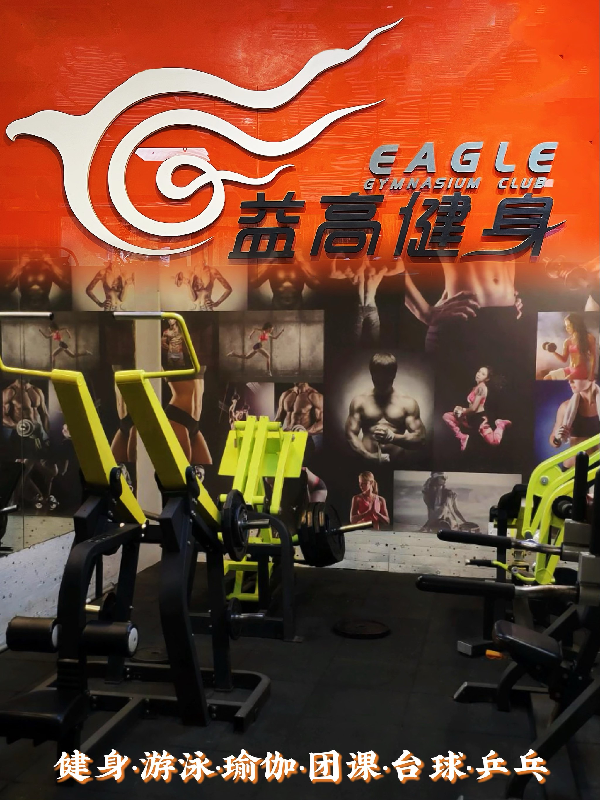 详细阅读:创高体育(创高体育app最新下载) 创高体育(创高体育app最新下载)