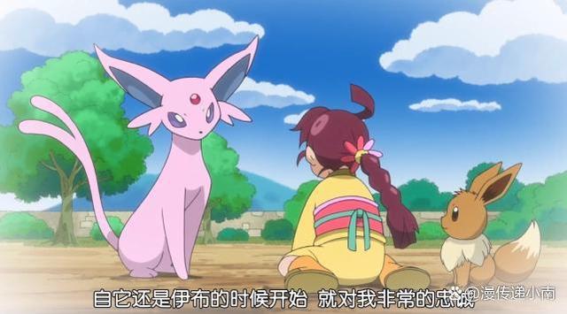 搭档伊布(搭档伊布和普通伊布的区别)
